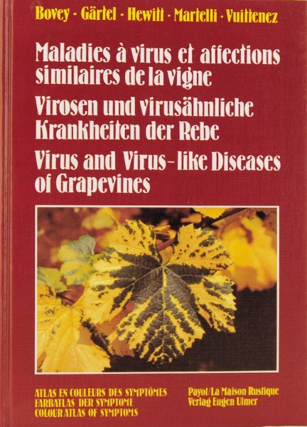 Virosen und Virusähnl. krankheiten. der Reben