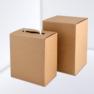 BAG in BOX / Karton 5 ltr.